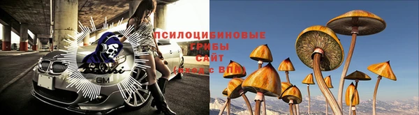дживик Алексеевка
