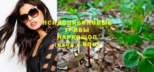 ПСИЛОЦИБИНОВЫЕ ГРИБЫ Алзамай