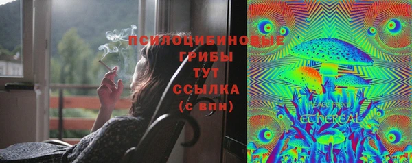 mix Гусев