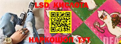 стафф Камышлов