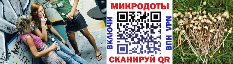 мега рабочий сайт  Нарьян-Мар  Псилоцибиновые грибы Psilocybe 