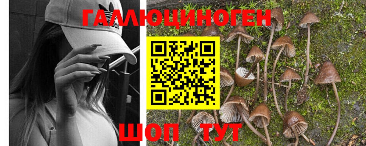 наркотики  Галлюциногенные грибы Psilocybine cubensis  Галлюциногенные грибы мухоморы  Вход с VPN  Нарьян-Мар 
