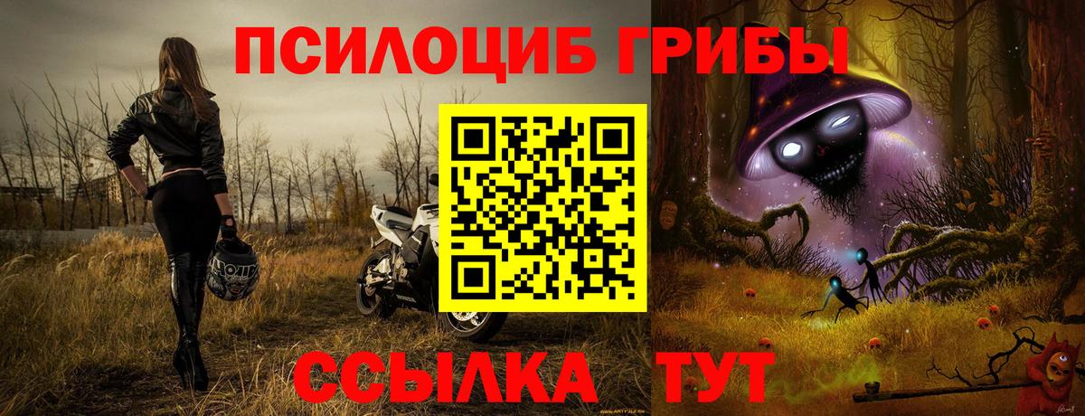 Галлюциногенные грибы прущие грибы Нарьян-Мар